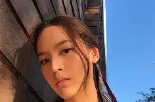 野狐馋师