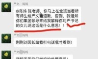 前妻出轨？儿子三岁？“严书记”的调查结果出来了！